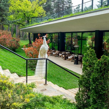 Bioli Wellness Resort Kojori Eksteriør billede