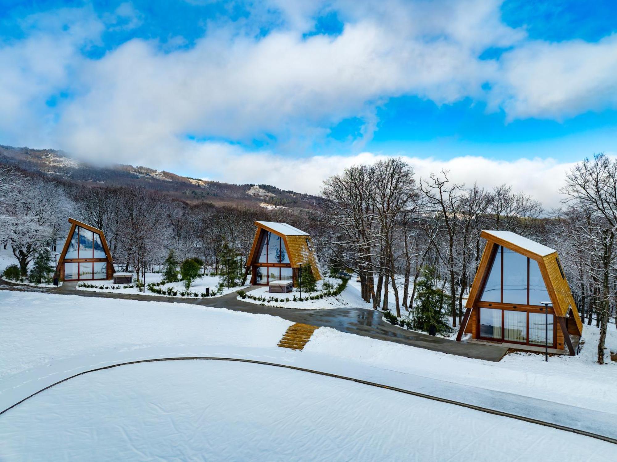 Bioli Wellness Resort Kojori Værelse billede