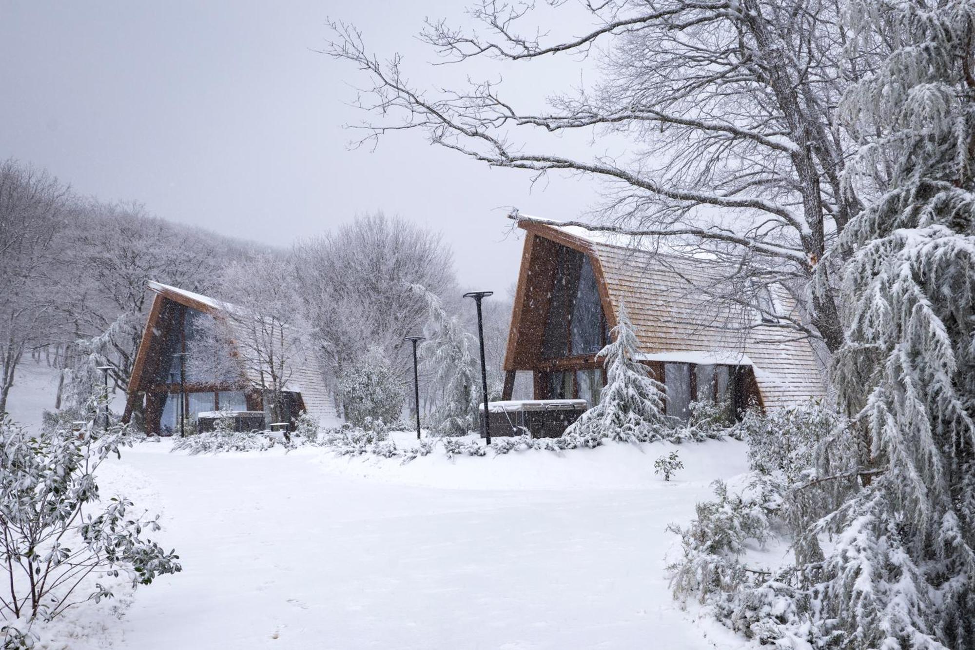 Bioli Wellness Resort Kojori Eksteriør billede